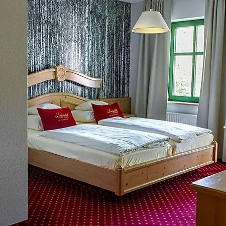 Hotel Landgasthof Zum Muhlenteich Eggersdorf (Brandenburg)
