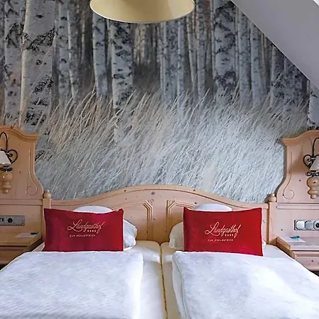 Hotel Landgasthof Zum Muhlenteich